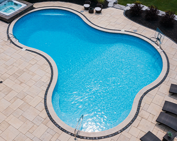 Lagoon Inground Pool Shapes Gallery