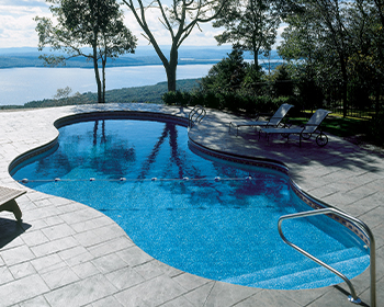 Mountain Lake Inground Pool Shapes Gallery
